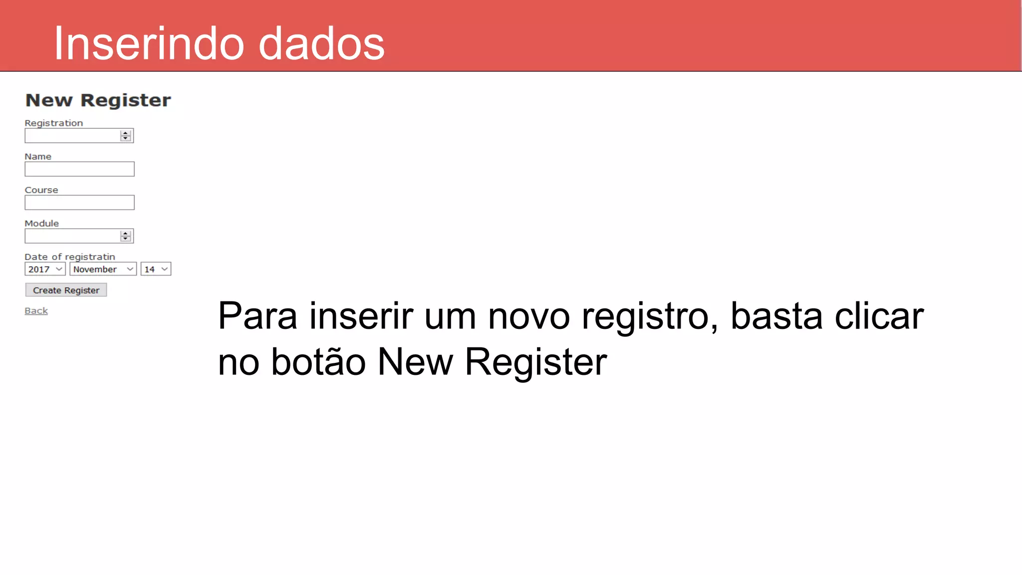 Inserindo dados Para inserir um novo registro, basta clicar no botão New Register 