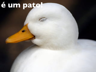 ruby - programar é divertido