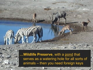…Wildlife Preserve, with a pond that
 serves as a watering hole for all sorts of
 animals – then you need foreign keys
 
