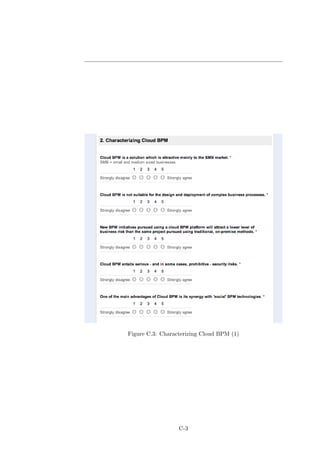 Figure C.3: Characterizing Cloud BPM (1)




                  C-3
 