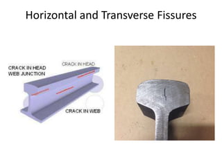 Horizontal and Transverse Fissures
 
