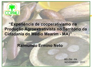 “Experiência de cooperativismo na
Produção Agroextrativista no Território da
Cidadania do Médio Mearim - MA)”

      Raimundo Ermino Neto


                              BELÉM - PA
                              NOVEMBRO - 2011
 