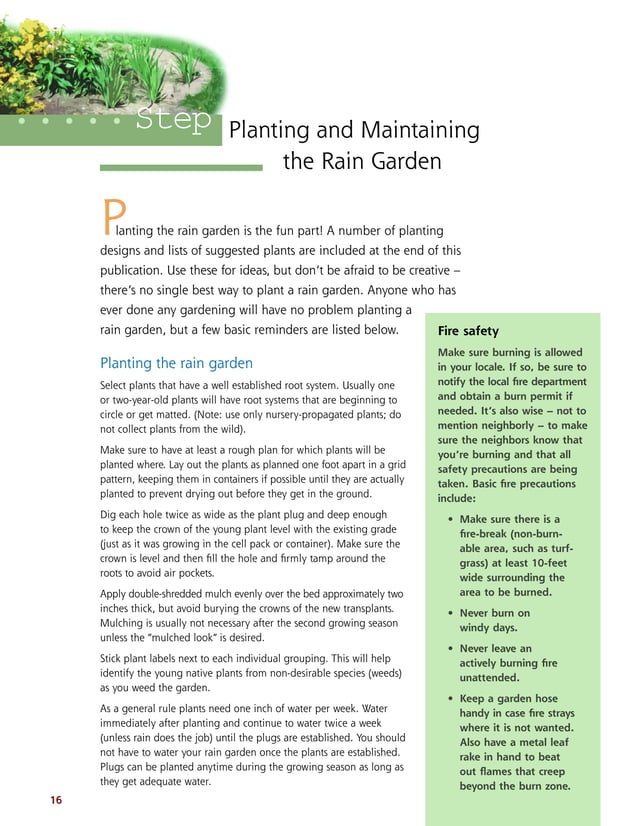 Wisconsin Rain Gardens A How to Manual for Homeowners