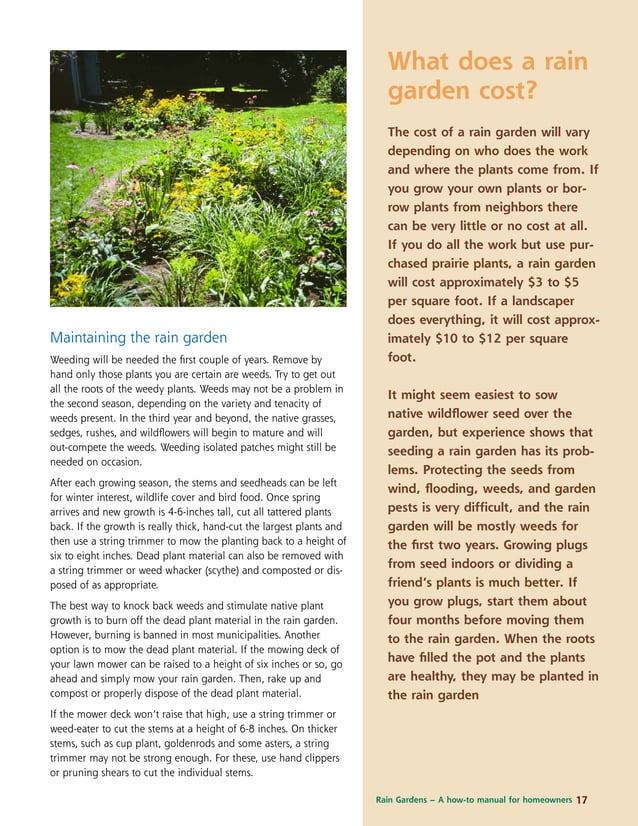 Wisconsin Rain Gardens A How to Manual for Homeowners