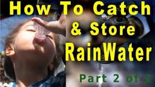 Part 2 - How To Catch & Store Rainwater