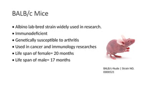 Rheumatoid arthritis induced in Animal model part 1.pptx
