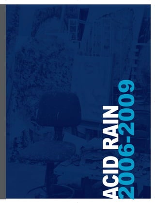 ARRIGO | 113
ACIDRAIN
2006-2009
 