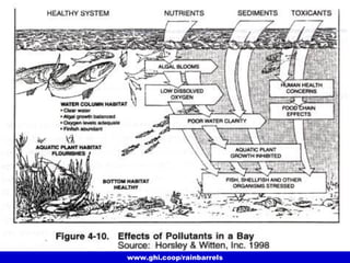 www.ghi.coop/rainbarrels
Pollutants Continued
 