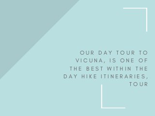 O U R D A Y T O U R T O
V I C U N A , I S O N E O F
T H E B E S T W I T H I N T H E
D A Y H I K E I T I N E R A R I E S ,
T O U R
 