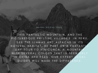M A C H U P I C C H U T O U R
T H I S F A N T A S T I C M O U N T A I N , A N D T H E
P I C T U R E S Q U E P R I S T I N E V I L L A G E S   I N P E R U ,
S E E T H E L L A M A S A N D A L P A C A S I N I T S
N A T U R A L H A B I T A T , B E P A R T O R A F A N T A S T I C
D A Y T O U R T O V I N I C U N C A , A M O U N T A I N
W I T H S E V E R A L C O L O R S T H A T I S S E E N O N L Y
I N C H I N A A N D P E R U . O U R E X P E R T L O C A L
G U I D E S W I L L M A K E T H E D I F F E R E N C E .
 