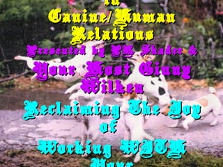 in
   Canine / Human
     Relations
Presented by PK Shader &

 Your Host Ginny
      Wilken
Reclaiming The Joy
        of
 Working WITH
 