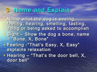 3 Name and Explain
• Name what the dog is seeing,
    feeling, hearing, smelling, tasting,
    doing or being asked to accomplish
•   Sight – Show the dog a bone, name
    it “Bone, X, Bone”
•   Feeling -“That’s Easy, X, Easy”
    explains relaxation
•   Hearing – “That’s the door bell, X,
    door bell”
 