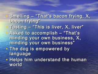• Smelling – “That’s bacon frying, X,
    bacon frying”
•   Tasting – “This is liver, X, liver”
•   Asked to accomplish – “That’s
    minding your own business, X,
    minding your own business”
•   The dog is empowered by
    language
•   Helps him understand the human
    world
 