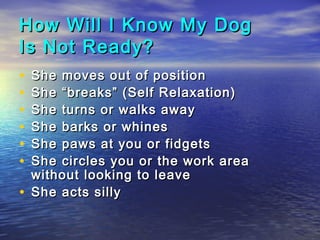 How Will I Know My Dog
Is Not Ready?
• She moves out of position
• She “breaks” (Self Relaxation)
• She turns or walks away
• She barks or whines
• She paws at you or fidgets
• She circles you or the work area
  without looking to leave
• She acts silly
 
