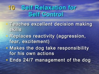 10   Self Relaxation for
           Self Control
• Teaches excellent decision making
    skills
•   Replaces reactivity (aggression,
    fear, excitement)
•   Makes the dog take responsibility
    for his own actions
•   Ends 24/7 management of the dog
 