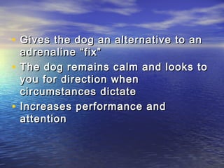 • Gives the dog an alternative to an
    adrenaline “fix”
•   The dog remains calm and looks to
    you for direction when
    circumstances dictate
•   Increases performance and
    attention
 