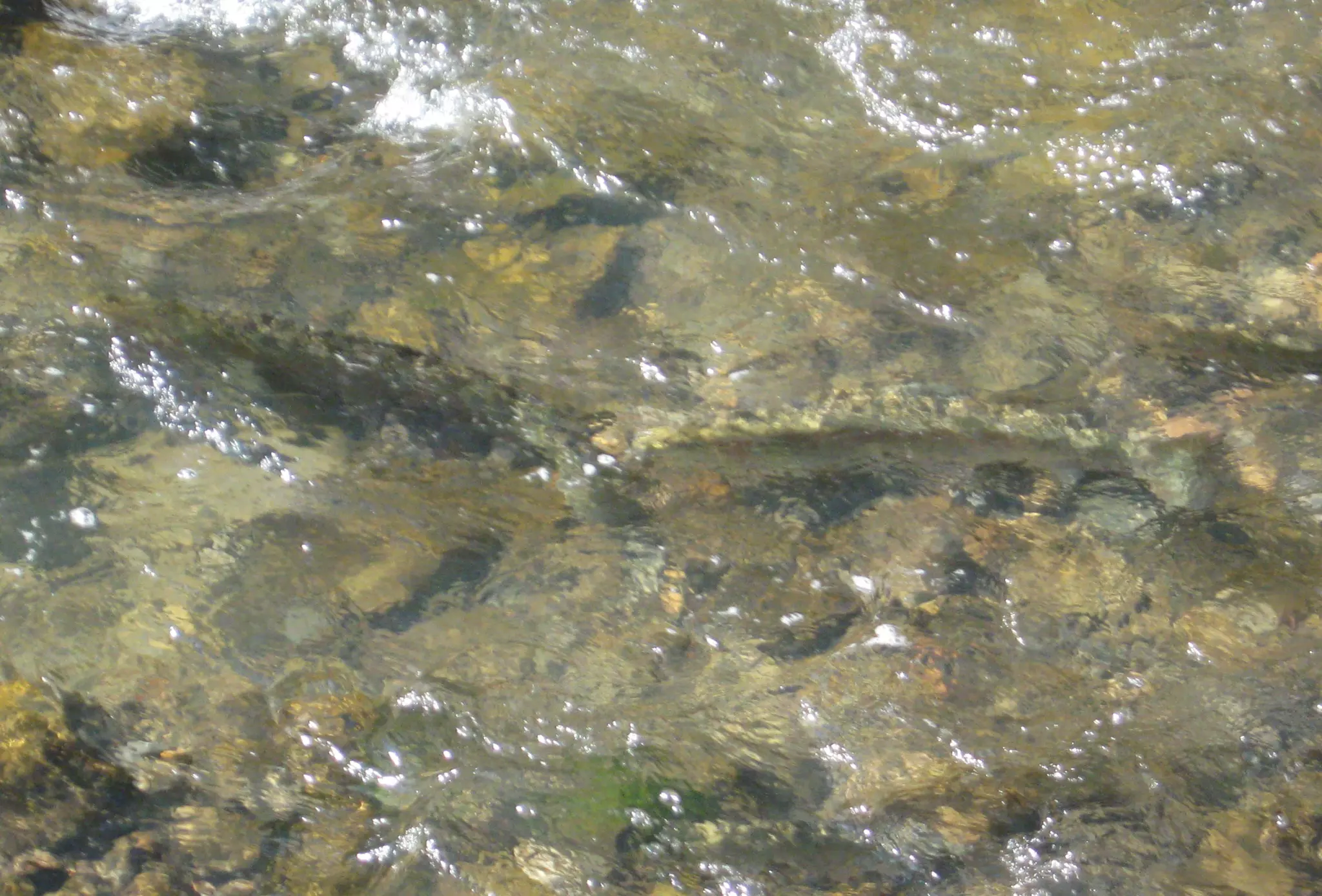 Rainbows Keep Running