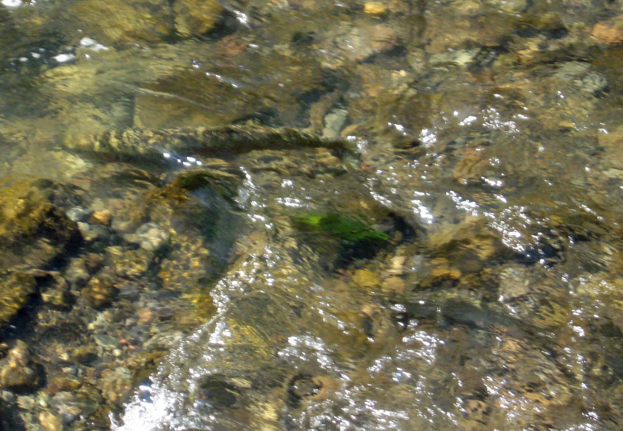 Rainbows Keep Running