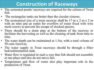 Rainbow Trout biology and farming by B.pptx