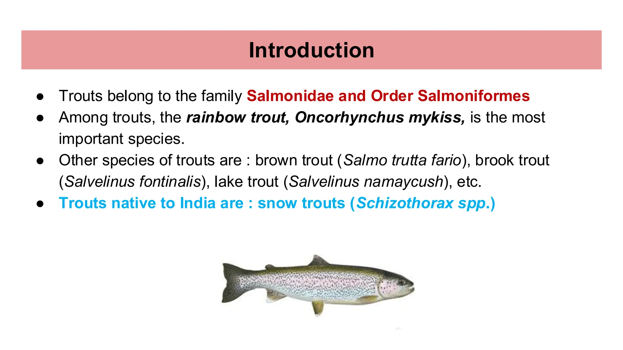 Rainbow trout breeding-J. Bovas Joel.pdf