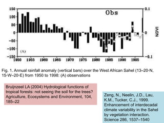 Rainbow water - missing colour  bonn 23052012 (nx power lite)
