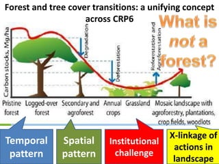Rainbow water - missing colour  bonn 23052012 (nx power lite)