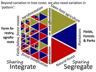 Rainbow water - missing colour  bonn 23052012 (nx power lite)