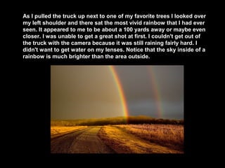 As I pulled the truck up next to one of my favorite trees I looked over
my left shoulder and there sat the most vivid rainbow that I had ever
seen. It appeared to me to be about a 100 yards away or maybe even
closer. I was unable to get a great shot at first. I couldn't get out of
the truck with the camera because it was still raining fairly hard. I
didn't want to get water on my lenses. Notice that the sky inside of a
rainbow is much brighter than the area outside.

 