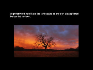 A ghostly red hue lit up the landscape as the sun disappeared
below the horizon.

 