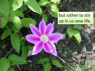 but rather to stir up in us new life.