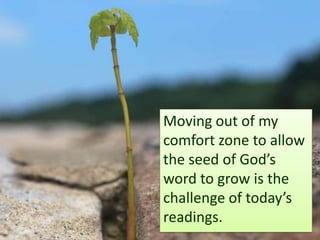 Moving out of mycomfort zone to allowthe seed of God’sword to grow is thechallenge of today’sreadings.