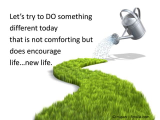Let’s try to DO somethingdifferent todaythat is not comforting butdoes encouragelife…new life.© mipan – Fotalia.com