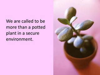 We are called to bemore than a pottedplant in a secureenvironment.