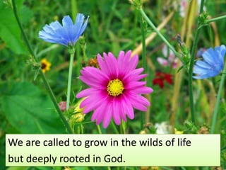 We are called to grow in the wilds of lifebut deeply rooted in God.