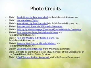 Photo CreditsSlide 1: Fresh Grass, by PetrKratochvilvia PublicDomainPictures.netSlide 2: Hermanoleon ClipartSlide 3: Yucca Plant, by PetrKratochvil via PublicDomainPictures.netSlide 4: Socrates and Plato, via Wikimedia CommonsSlide 5: Soil, by ByMesaytsegaye (Own work) via Wikimedia CommonsSlide 6: Rain drops on Grass, by Michele Waltersvia PublicDomainPictures.netSlide 7: Rain On Window 2, by Mikaela Dunn, via PublicDomainPictures.netSlide 8: Animals Wet Dog, by Michele Walters, via PublicDomainPictures.netSlide 9: Cushions, by Shiftchangefrom Wikimedia CommonsSlide 10: Photo by Brother Joe Tesar, MSC, member of the Missionaries of the Sacred Heart, United States ProvinceSlide 11: Soil Texture, by PetrKratochvilvia PublicDomainPictures.net