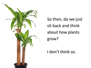 So then, do we justsit back and thinkabout how plantsgrow? I don’t think so.