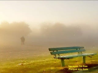 because I'm free  Porque sou livre 