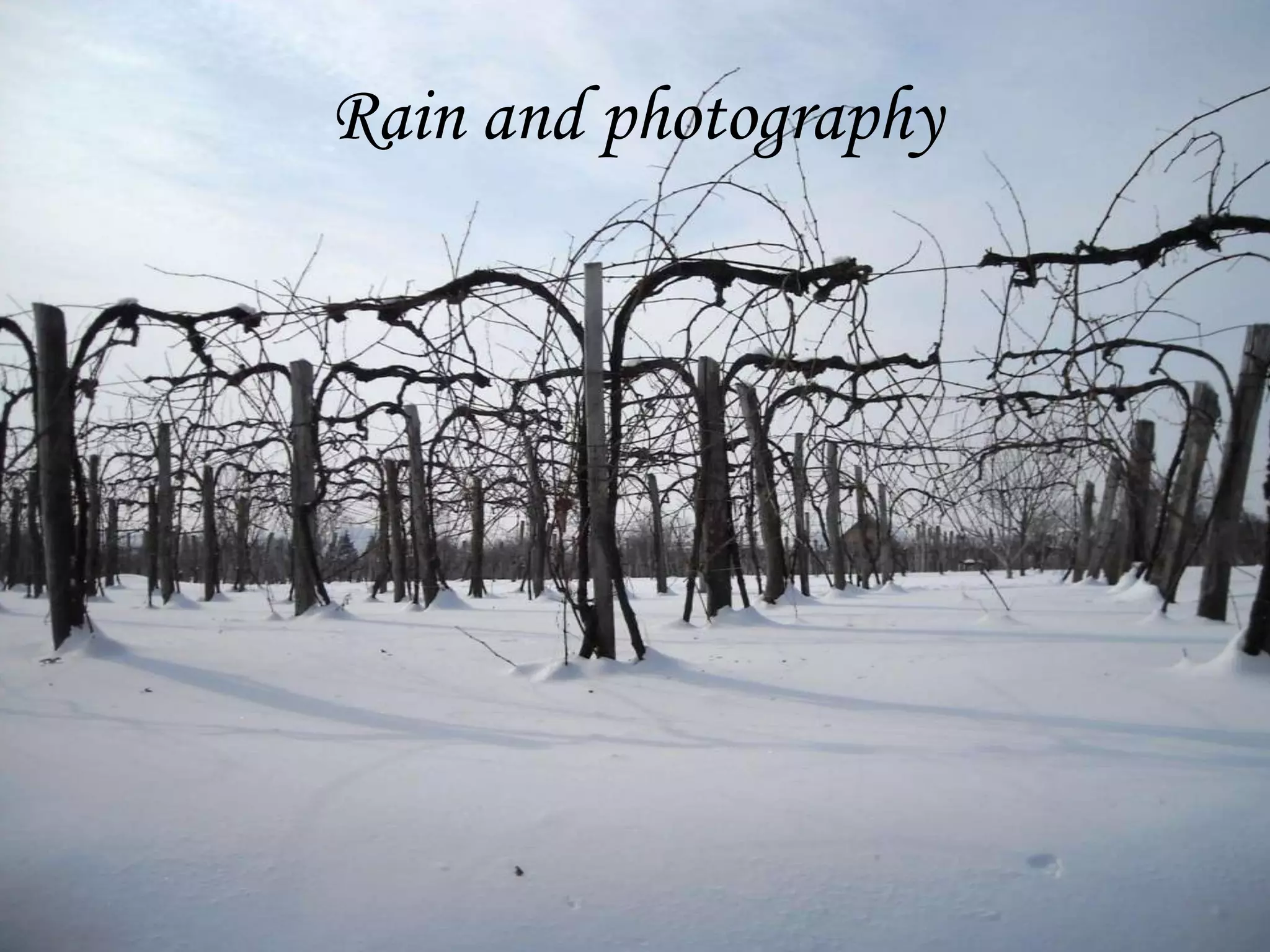 Rain and photography
 