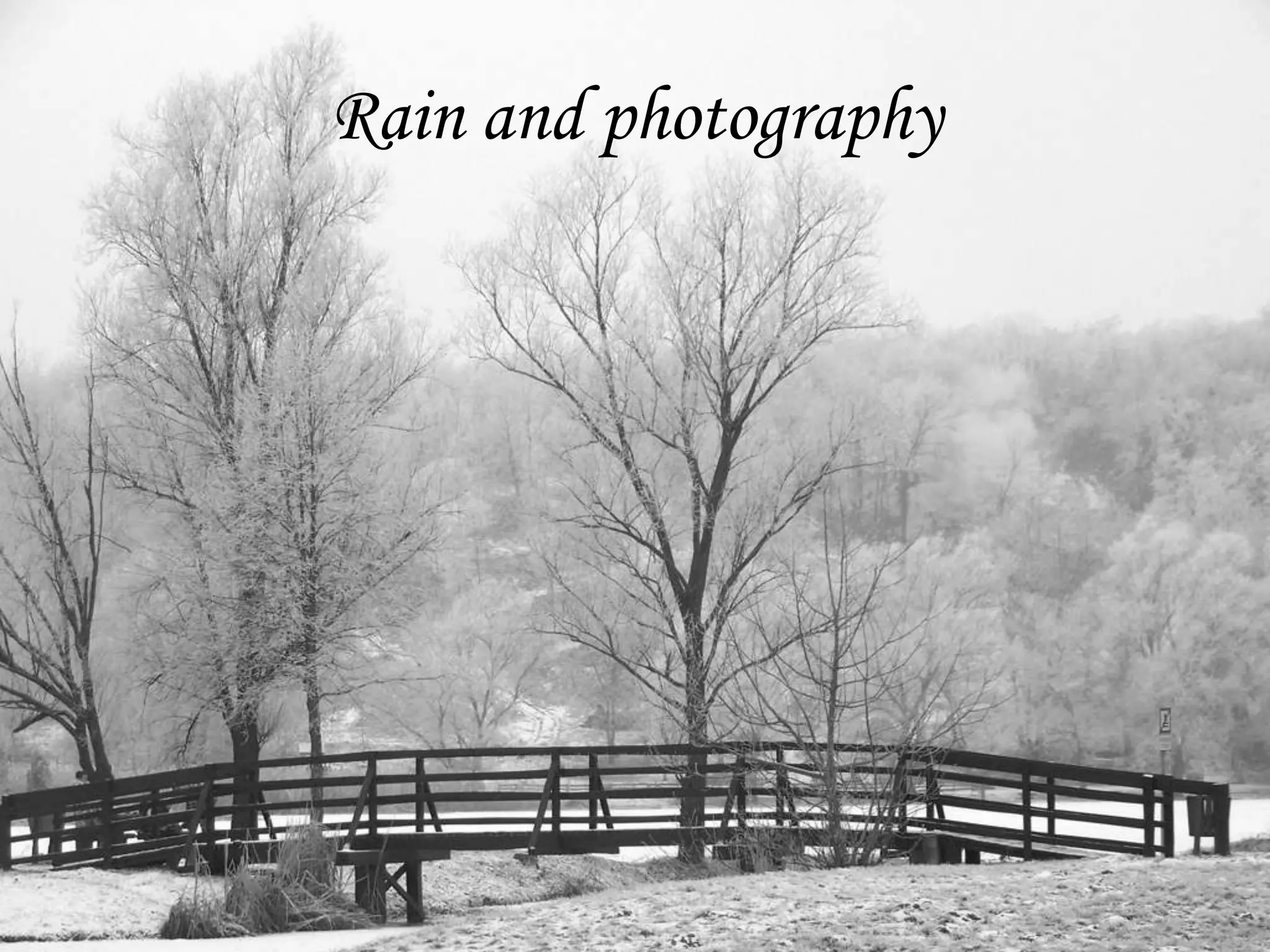 Rain and photography
 