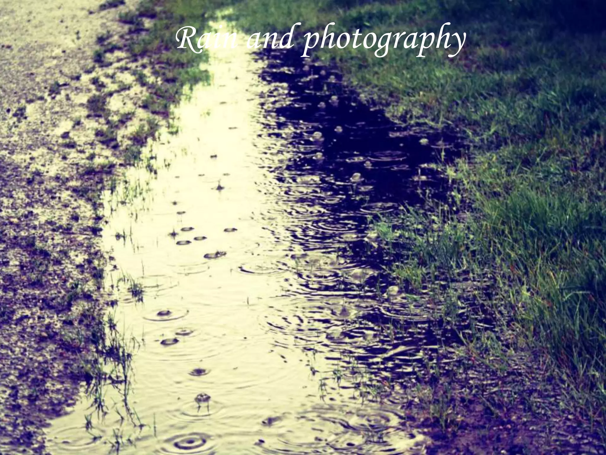 Rain and photography
 