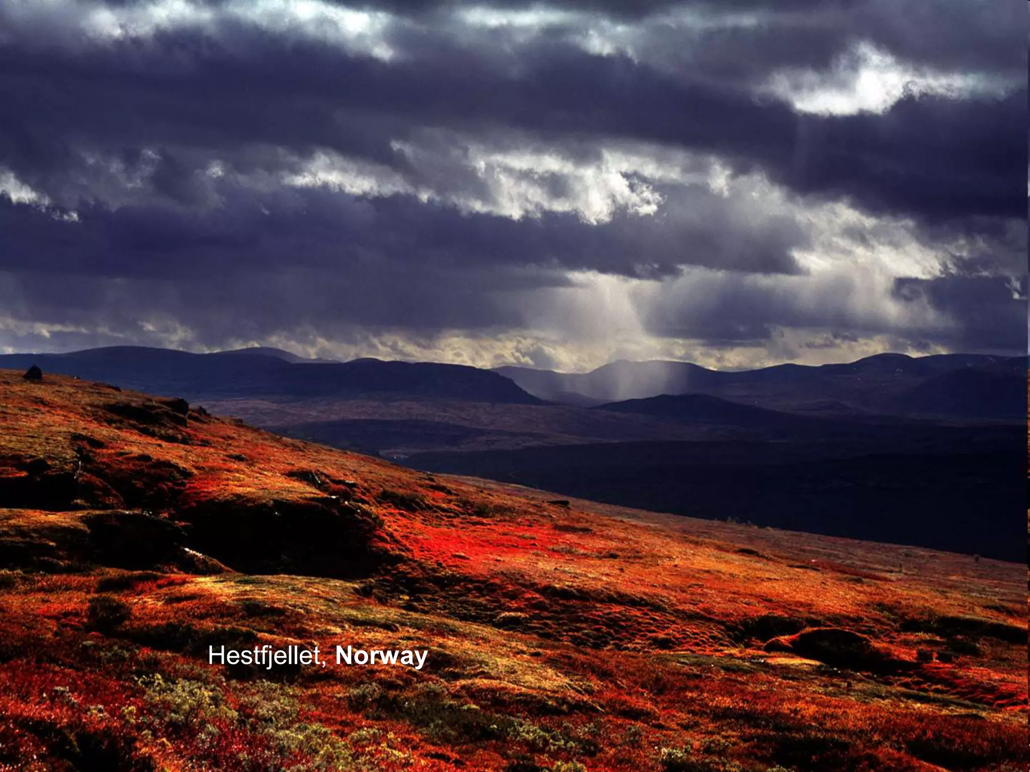 Vysoke Tatry Slovakia




           Vivaldi: Winter

           Hestfjellet, Norway
Amsterdam BudapestBonhinj - Spain
                    Hungary
          TheLakeLa Rioja Slovenia
              Netherlands
 