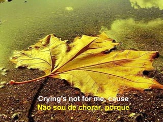 Crying's not for me, cause
Não sou de chorar, porque
 
