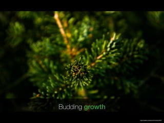 https://unsplash.com/photos/UCmkmGxuWX4
Budding growth
 