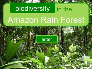 Amazon Rain Forest biodiversity in the Dana Quante enter 