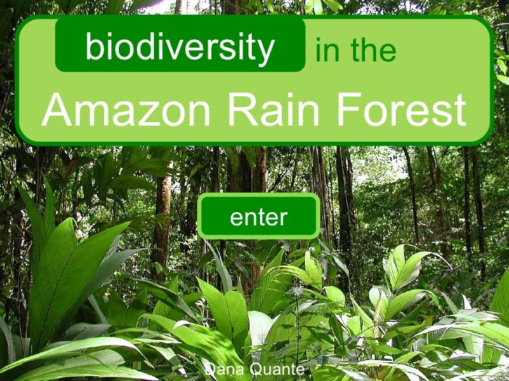 Rainforest Interactive For 3rd Grade