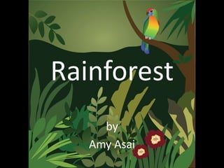 Rainforest
     by
   Amy Asai
 