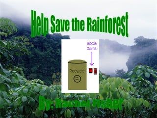 Help Save the Rainforest By: Rachel Fisher 