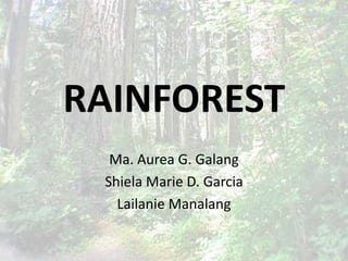 RAINFOREST
  Ma. Aurea G. Galang
 Shiela Marie D. Garcia
   Lailanie Manalang
 