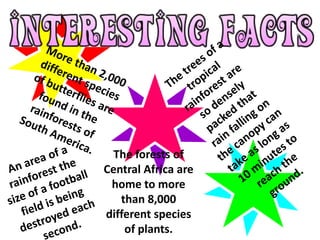 The forests of
Central Africa are
 home to more
   than 8,000
different species
    of plants.
 