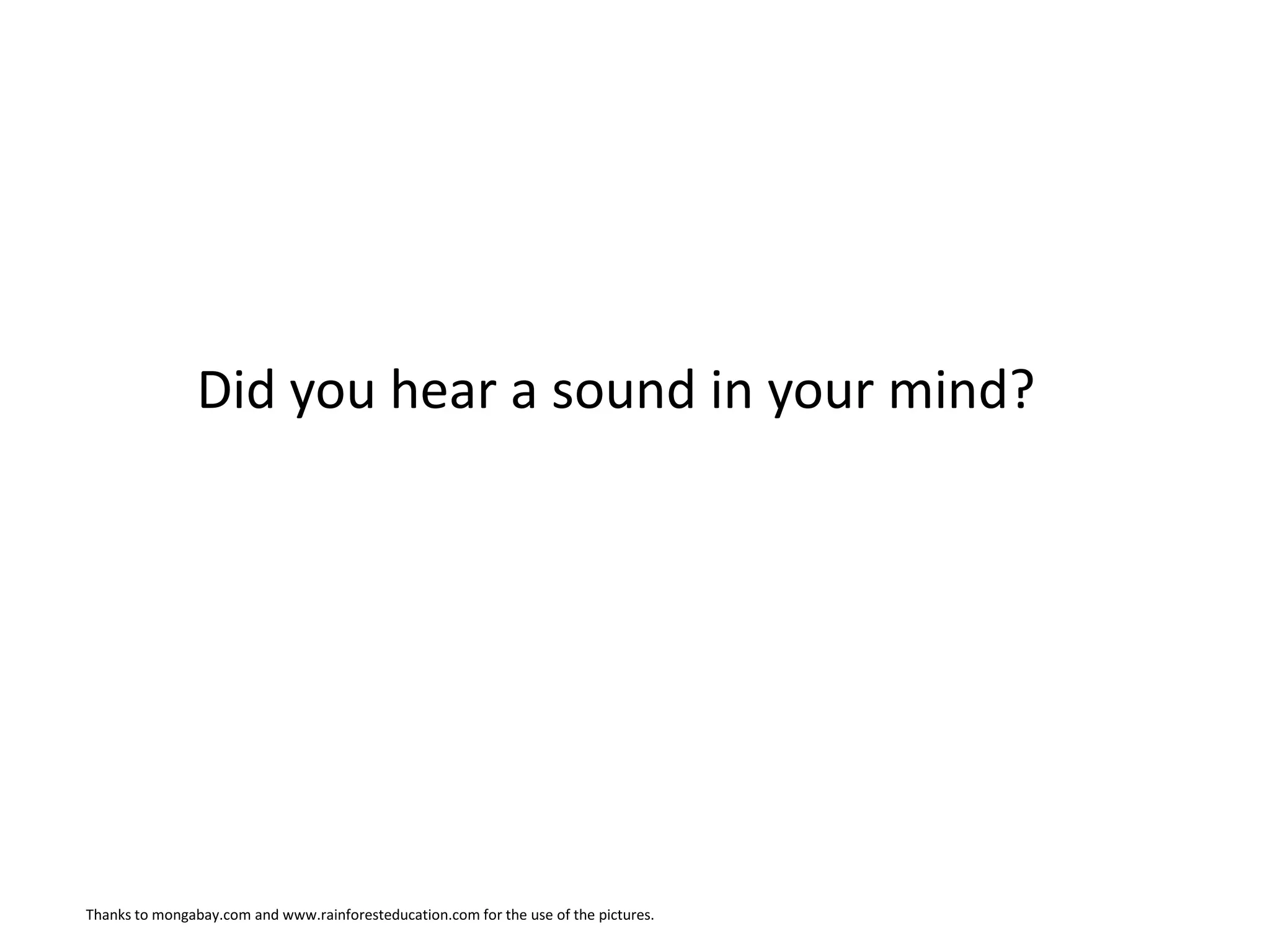 Did you hear a sound in your mind?




Thanks to mongabay.com and www.rainforesteducation.com for the use of the pictures.
 